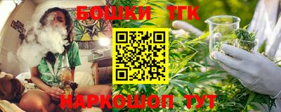 прущие крисы Можга