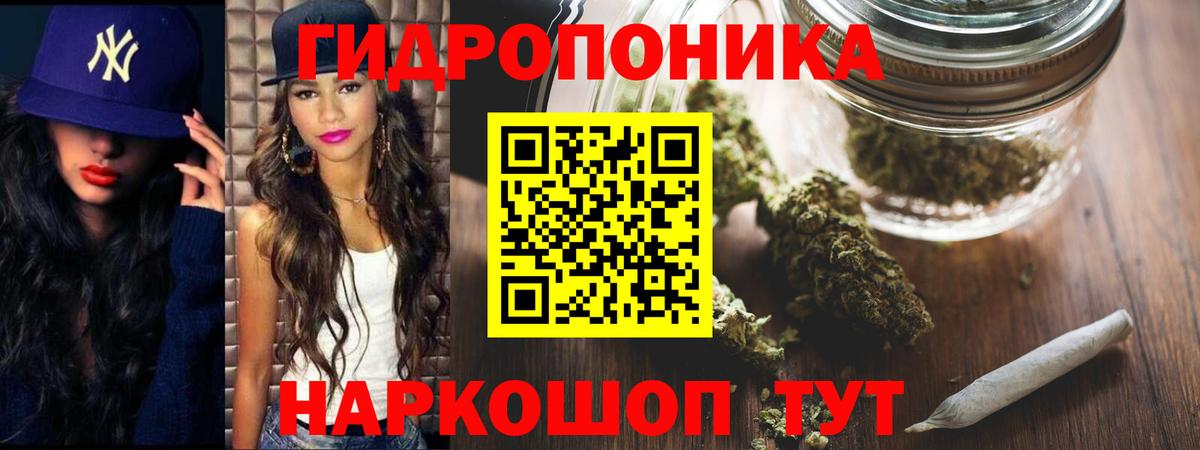 Бошки Шишки планчик  Бошки Шишки AK-47  Вход с VPN  Сосновый Бор 